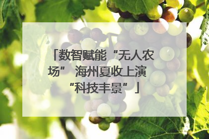 数智赋能“无人农场” 海州夏收上演“科技丰景”