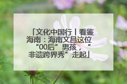 文化中国行丨看鉴海南：海南文昌这位“00后”男孩，“非遗跨界秀”走起