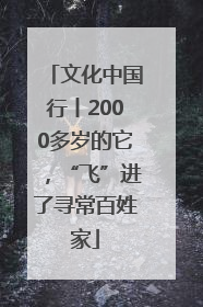 文化中国行丨2000多岁的它，“飞”进了寻常百姓家