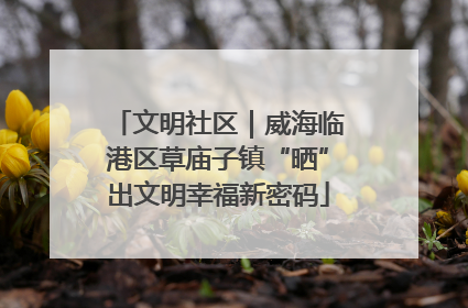 文明社区｜威海临港区草庙子镇“晒”出文明幸福新密码