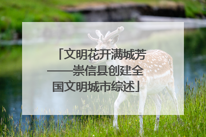 文明花开满城芳——崇信县创建全国文明城市综述