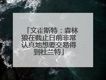 文霍斯特：森林狼在截止日前非常认真地想要交易得到杜兰特