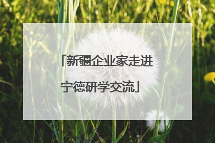 新疆企业家走进宁德研学交流