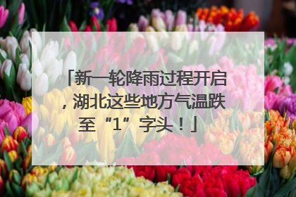 新一轮降雨过程开启，湖北这些地方气温跌至“1”字头！