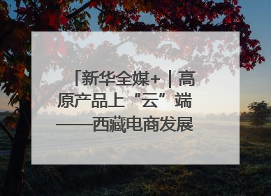 新华全媒+｜高原产品上“云”端——西藏电商发展一线观察