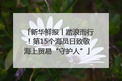 新华鲜报丨踏浪而行！第15个海员日致敬海上贸易“守护人”