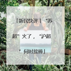 新民快评丨“苏超”火了，“沪超”何时接棒