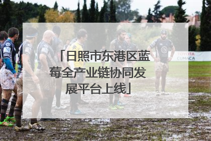 日照市东港区蓝莓全产业链协同发展平台上线