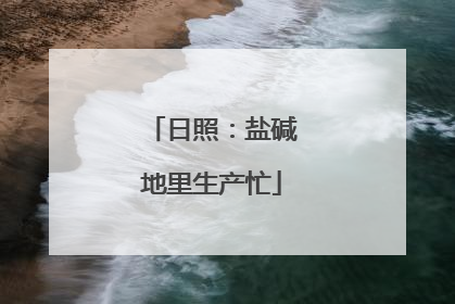 日照：盐碱地里生产忙