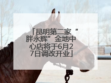 昆明第二家“胖永辉”金地中心店将于6月27日调改开业