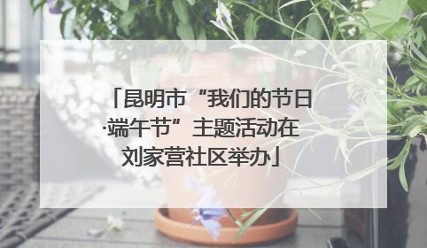 昆明市“我们的节日·端午节”主题活动在刘家营社区举办