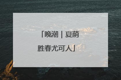 晚潮｜夏荫胜春尤可人