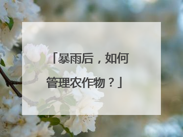 暴雨后，如何管理农作物？