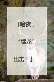 暗夜，“猛龙”出击！