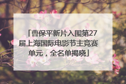 曹保平新片入围第27届上海国际电影节主竞赛单元，全名单揭晓