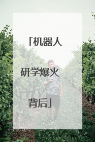 机器人研学爆火背后