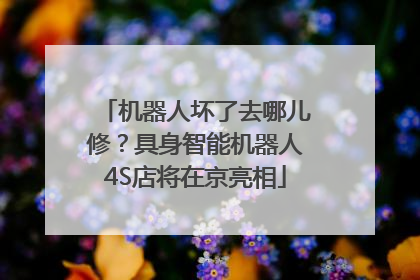 机器人坏了去哪儿修？具身智能机器人4S店将在京亮相