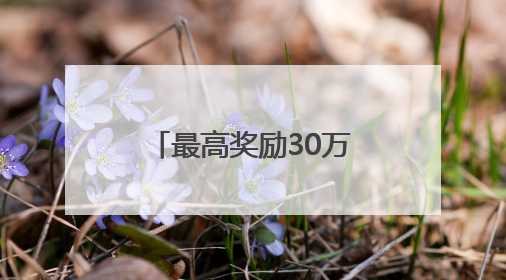 最高奖励30万元！第十四届中国创新创业大赛青岛赛区正式启动