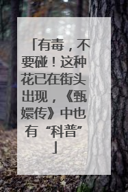 有毒，不要碰！这种花已在街头出现，《甄嬛传》中也有“科普”