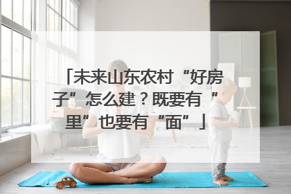 未来山东农村“好房子”怎么建？既要有“里”也要有“面”