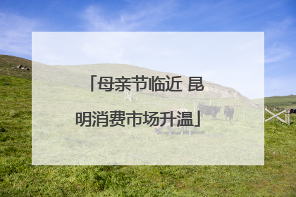 母亲节临近 昆明消费市场升温