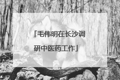 毛伟明在长沙调研中医药工作