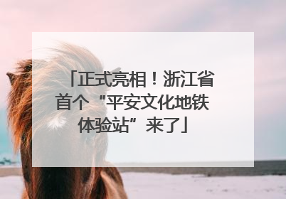 正式亮相！浙江省首个“平安文化地铁体验站”来了