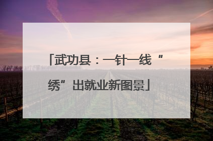 武功县：一针一线“绣”出就业新图景