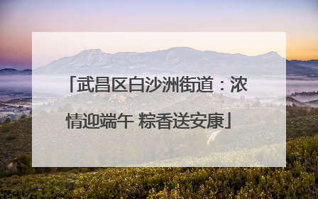 武昌区白沙洲街道：浓情迎端午 粽香送安康
