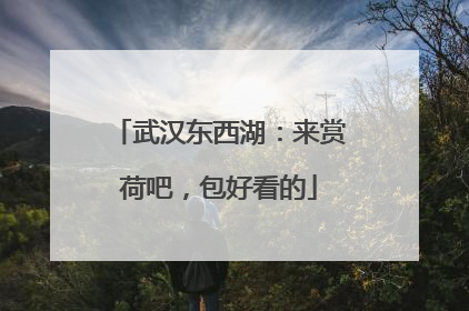 武汉东西湖：来赏荷吧，包好看的