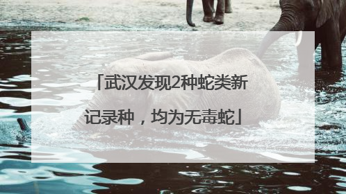 武汉发现2种蛇类新记录种，均为无毒蛇