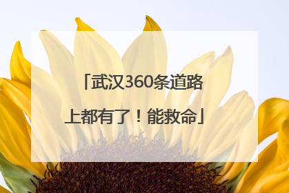 武汉360条道路上都有了！能救命