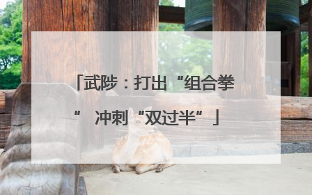 武陟：打出“组合拳” 冲刺“双过半”