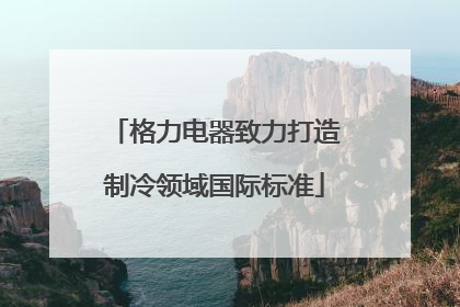 格力电器致力打造制冷领域国际标准