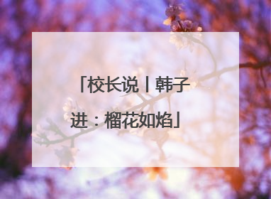 校长说丨韩子进：榴花如焰