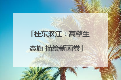桂东沤江：高擎生态旗 描绘新画卷