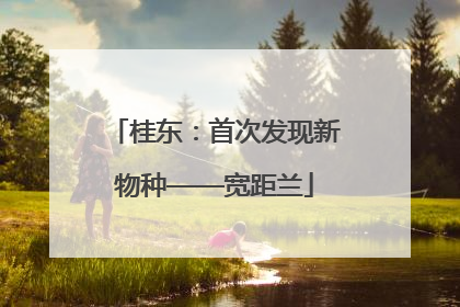 桂东：首次发现新物种——宽距兰