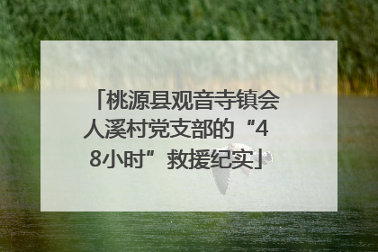 桃源县观音寺镇会人溪村党支部的“48小时”救援纪实
