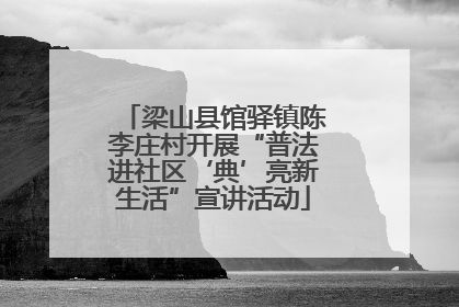 梁山县馆驿镇陈李庄村开展“普法进社区‘典’亮新生活”宣讲活动