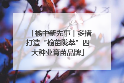 榆中新先事｜多措打造“榆苗陇萃”四大种业育苗品牌