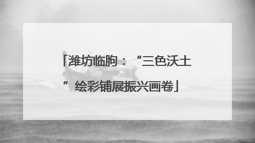 潍坊临朐：“三色沃土”绘彩铺展振兴画卷