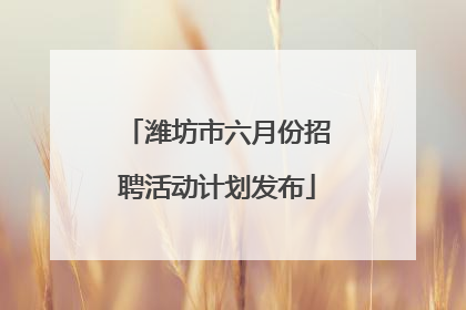 潍坊市六月份招聘活动计划发布