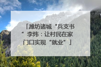 潍坊诸城“兵支书”李炜：让村民在家门口实现“就业”