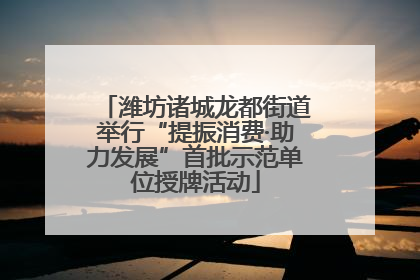 潍坊诸城龙都街道举行“提振消费·助力发展”首批示范单位授牌活动