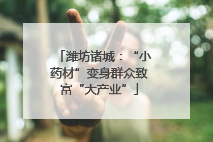 潍坊诸城：“小药材”变身群众致富“大产业”