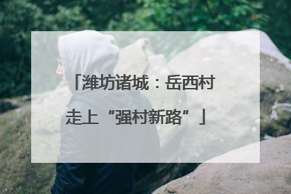潍坊诸城：岳西村走上“强村新路”