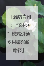 潍坊青州：“文化+”模式引领乡村振兴新路径