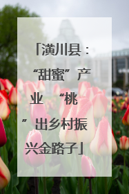 潢川县：“甜蜜”产业  “桃”出乡村振兴金路子