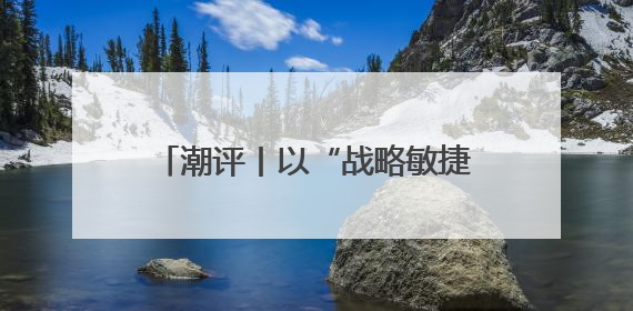 潮评丨以“战略敏捷”抢占“时差优势”