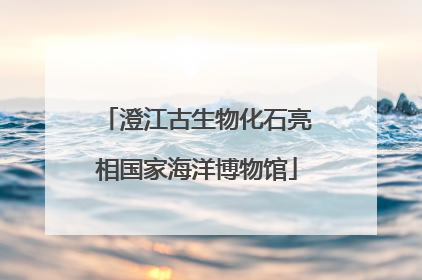 澄江古生物化石亮相国家海洋博物馆